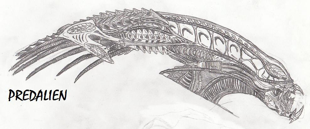 PredAlien Profile Study by TITANOSAUR on DeviantArt