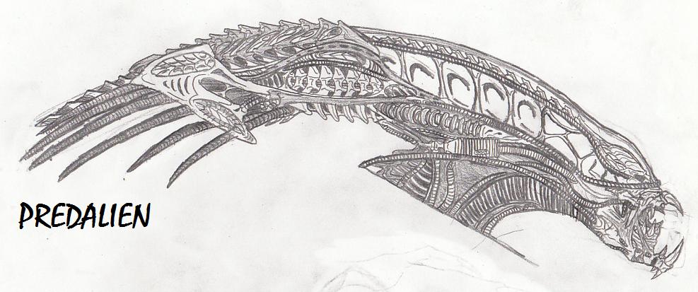 PredAlien Profile Study by TITANOSAUR on DeviantArt