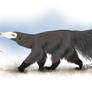 Keiran as giant anteater