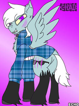 Chad Redesign Contest