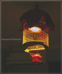 Lamp Cage