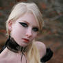 Gothic stock