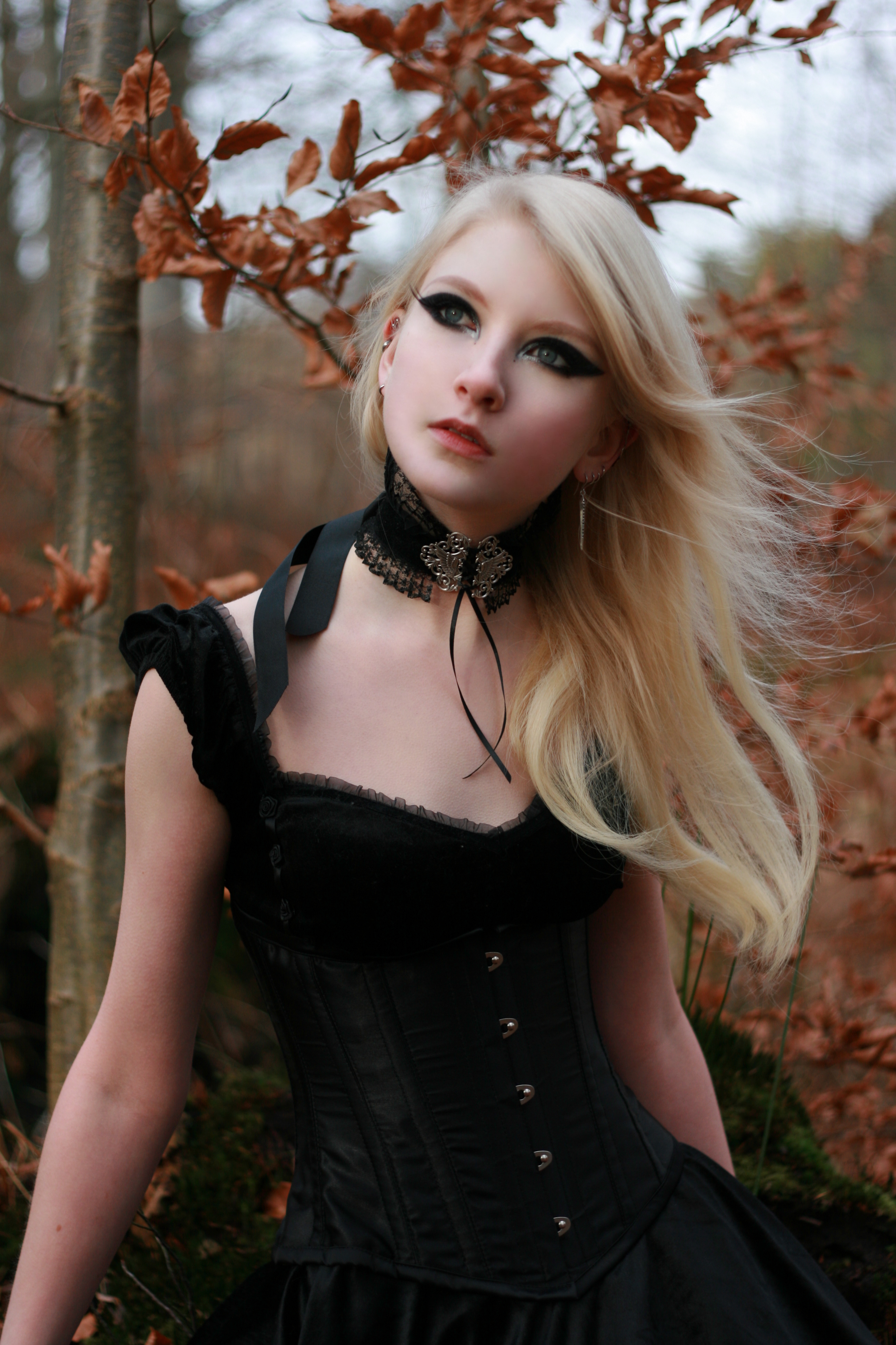 Gothic stock