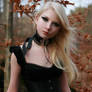 Gothic stock
