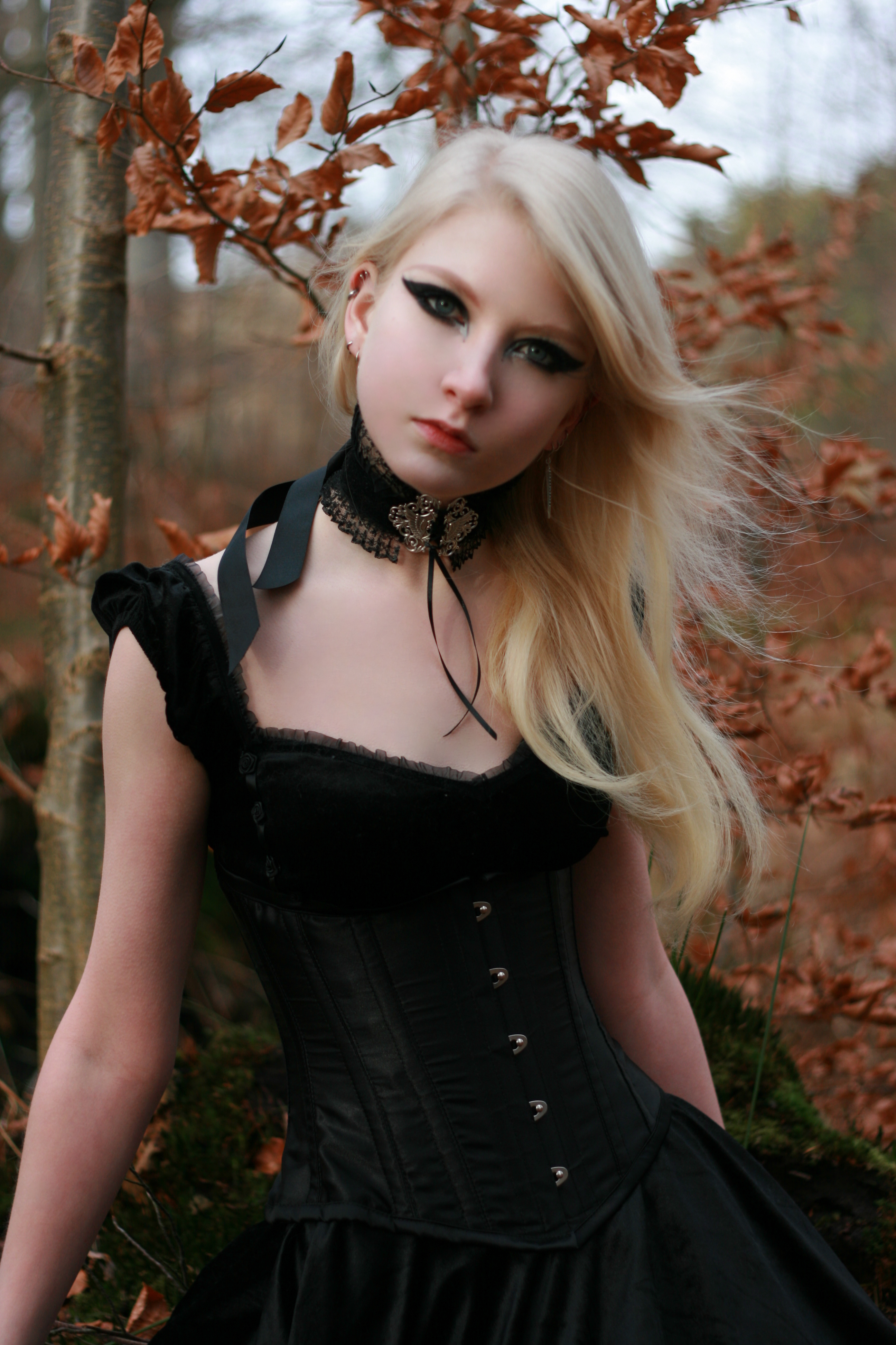 Gothic stock