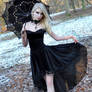 Black Velvet Stock
