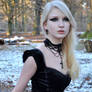 Black Velvet Stock