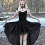 Black Velvet Stock