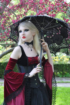 Medieval Gothic Stock