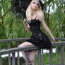 Gothic Doll Stock