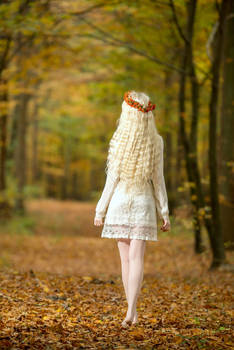 Autumn Dream - Stock