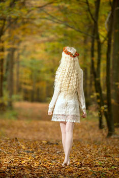 Autumn Dream - Stock
