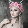 Faun - Stock
