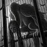 Caged