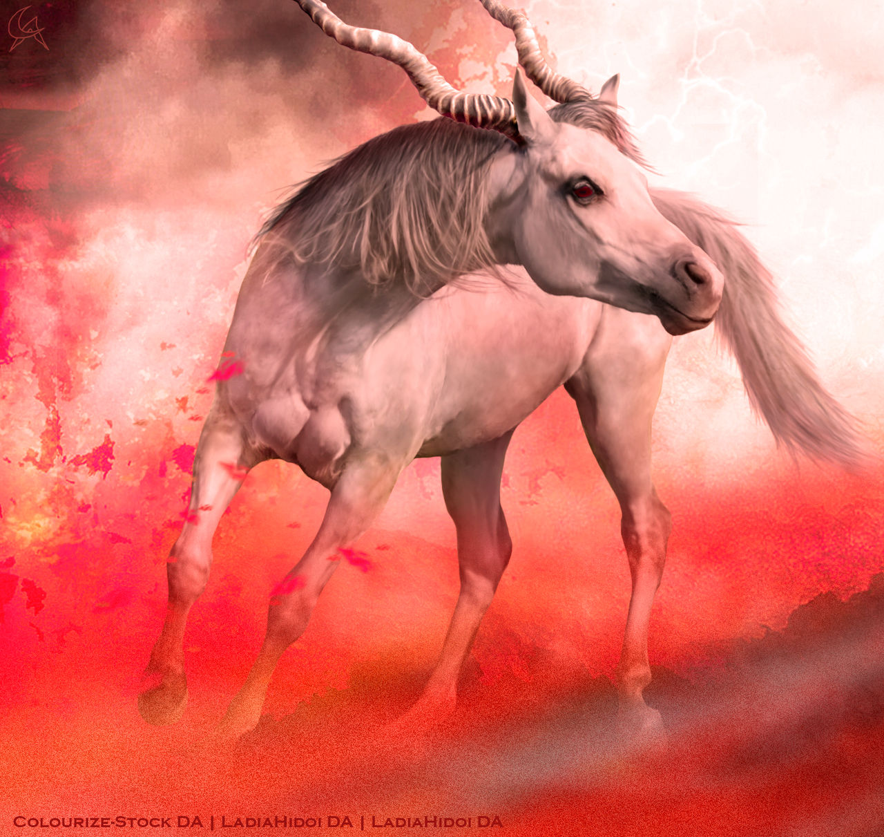 Devils Riding/horse Devil's horse by CarolineArtworks on DeviantArt