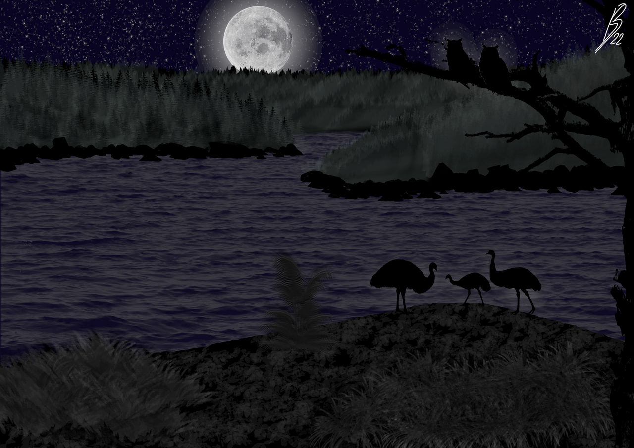 Bush Image Night The Aussie bush night scene by EspiritSJB on DeviantArt