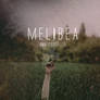 MELIBEA / PORTADA