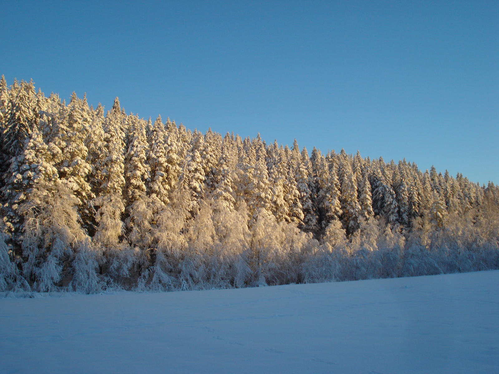 Winter. Finland. Kuopio