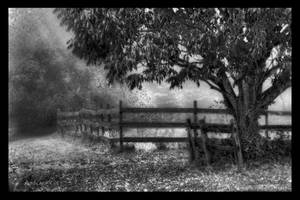 Black and white country scene