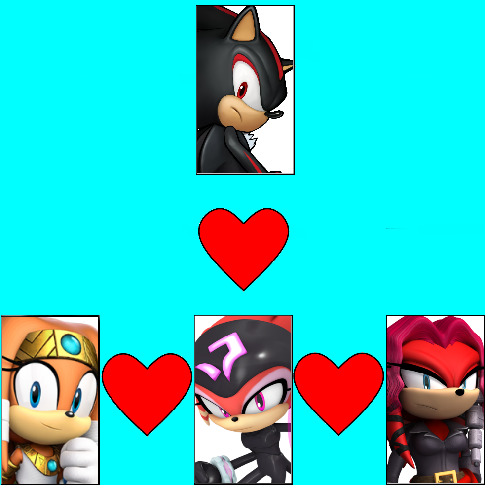 Do people ship Sonic and Shadow?