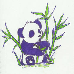 Purple Panda