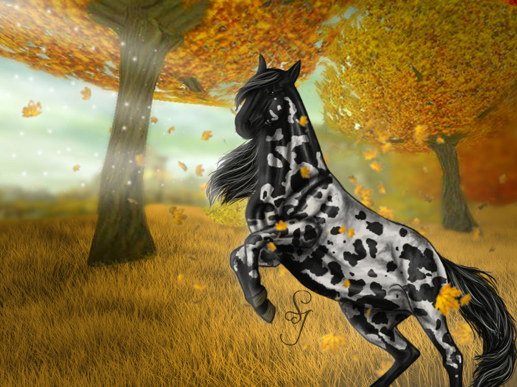 SSO edit :) by JojoKekse on DeviantArt