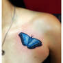 Butterfly Tattoo