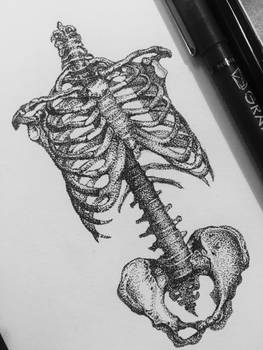 Dotwork Skeleton