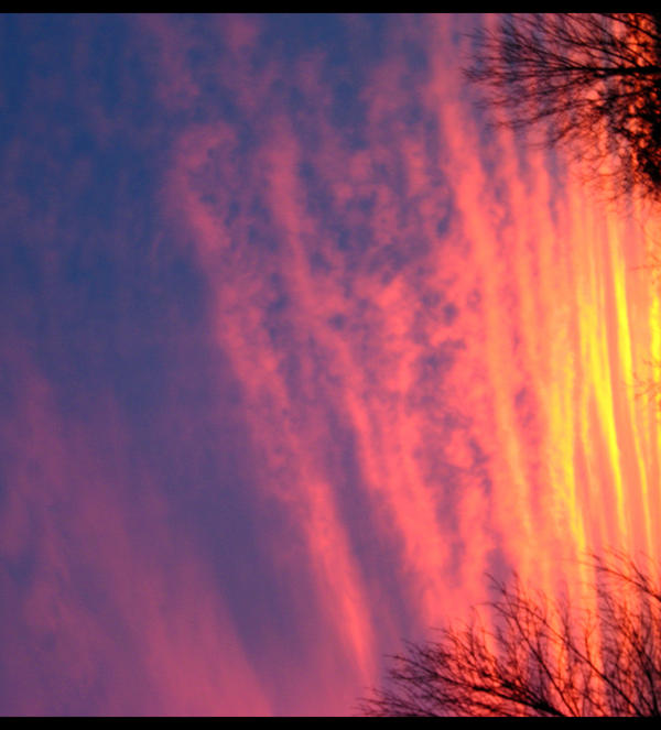 The Pink Glow of January