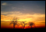 A Midwestern Safari by FramedByNature