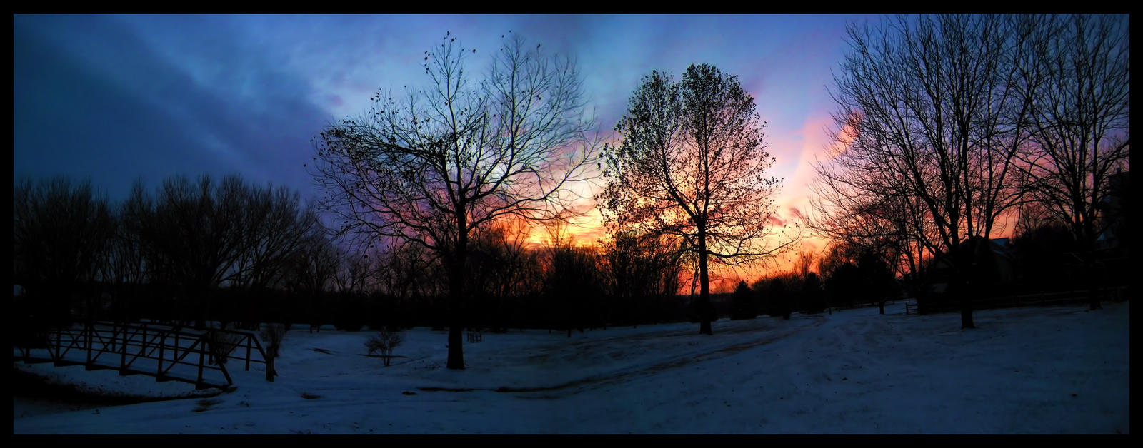 Winter Park Panorama