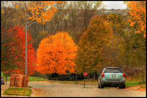 Autumn Streets II