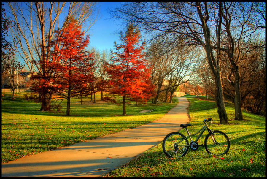 Autumn's Lament by FramedByNature