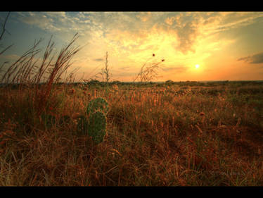 Sundown in Kansas