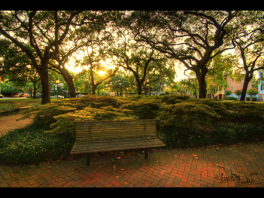 Summer Savannah Stroll