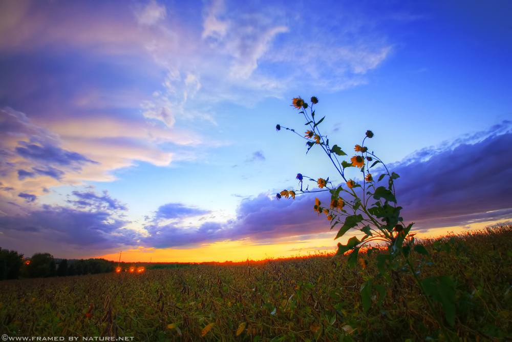 September Supercell Subsides