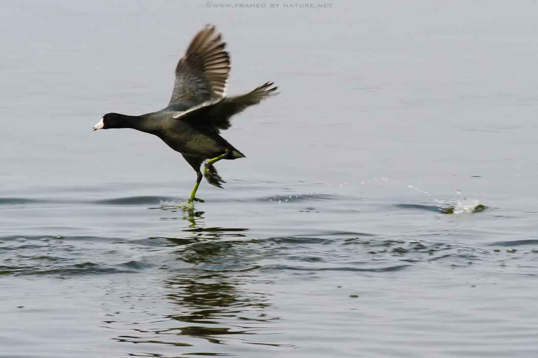 Walking on Water