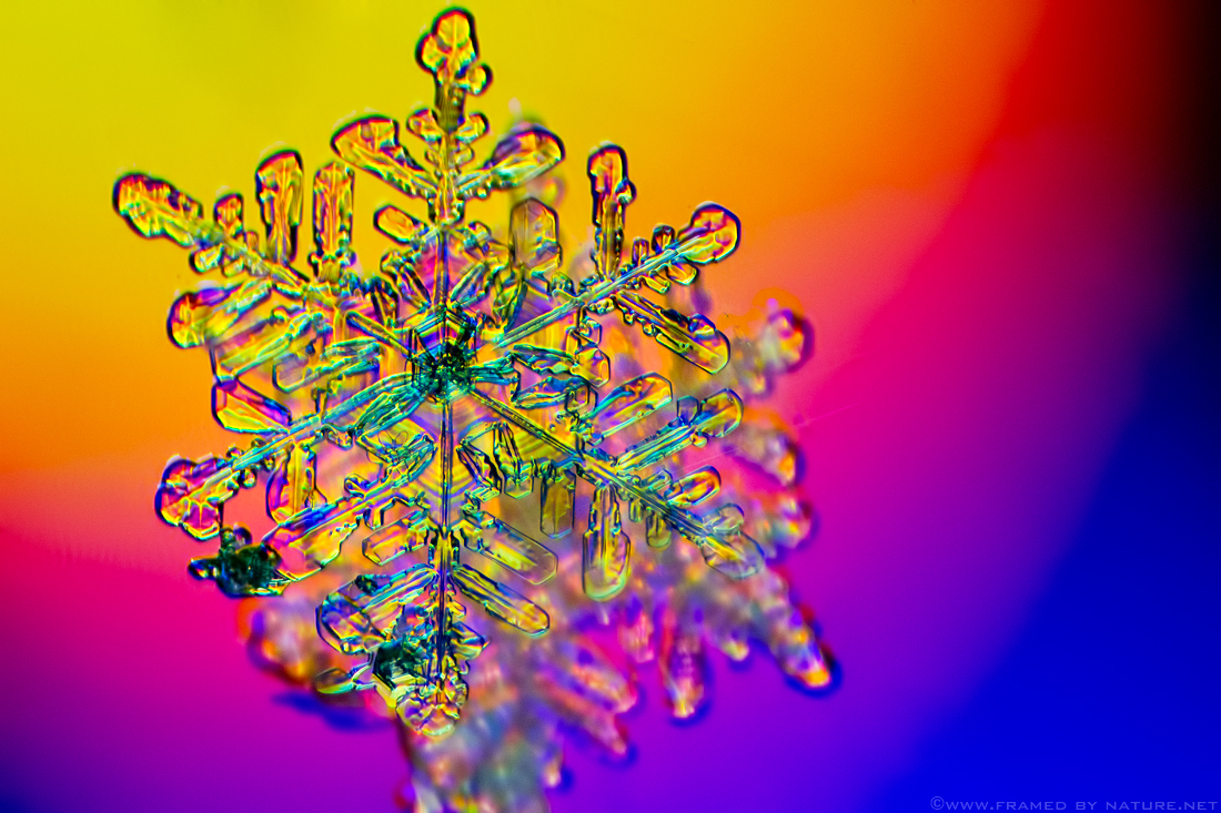 Crystalline Spectrum