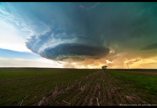 High Plains Hailer II