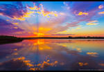 Beauty After the Bust by FramedByNature