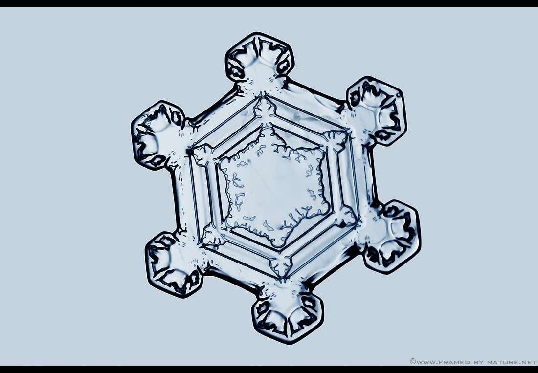 Snowflake Structure