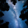 The Celestial Canopy