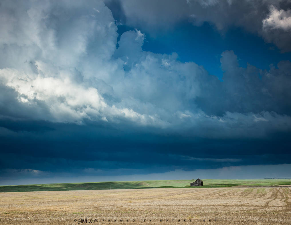 Homestead Tempest by FramedByNature