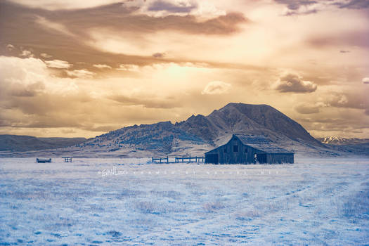 Beyond Bear Butte