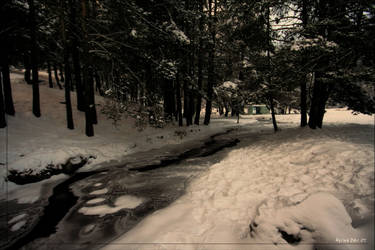 Iced Brook