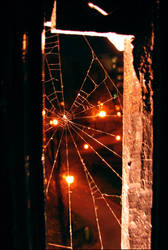 web