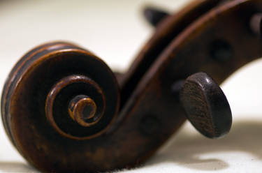 the scroll of my violin