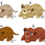 Infant lion cub adopts Batch 9: CLOSED