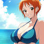Nami back to short hair (one piece)