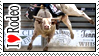 Rodeo stamp